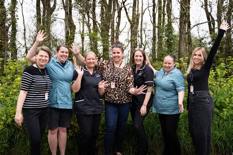 Image result for Dynamo Course