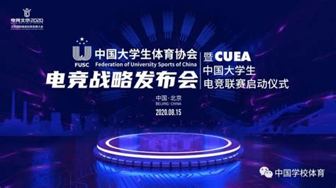 第四届世界电竞运动会大中华区总决赛落幕--体育--人民网