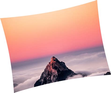 Image result for Elementor Using Tilt