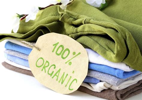 8 BENEFITS OF ORGANIC COTTON CLOTHING – sustainme.in