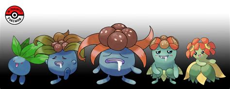 Image result for Oddish Evolution Level
