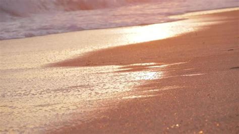 Image result for Free Beach Video Loop Download