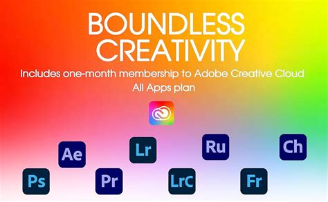 LaCie d2 Professional 4TB External Hard Drive Desktop HDD USB-C USB 3.1 ...