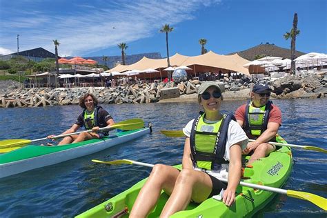 WATERFRONT KAYAK (2025) All You Need to Know BEFORE You Go (with Photos ...