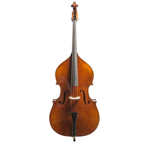 Eastman Vb305 Orchestral Double Bass With Flexocor Strings Eastman