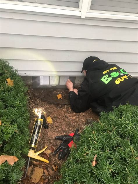Crawl Space Vents and Doors - Hogarth's Pest Control