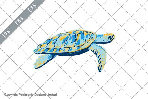 Image result for Turtle Shell Side View