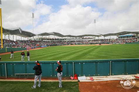 Image result for Spring Training 2018