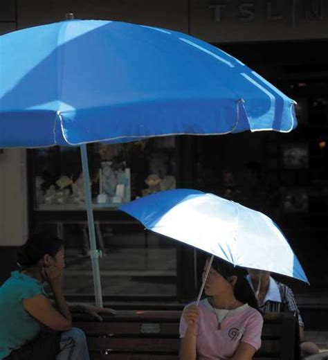 小区鸟屎雨淋头居民只能打伞最新素材