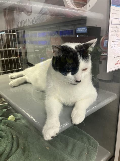 My German Chancellors Tier List : r/monarchism