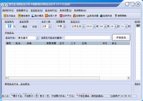 周易起名大师软件注册破解版下载 v28.0 - 软件学堂