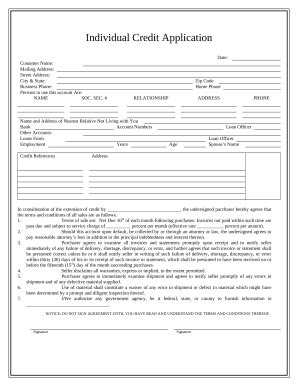 Individual Credit Application Doc Template | pdfFiller