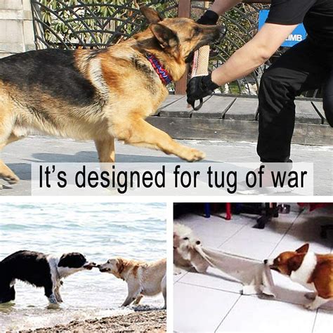 Buy Dog Tug Bite Pillow Jute Bite Chewing Fetch Toy Puppy Training ...