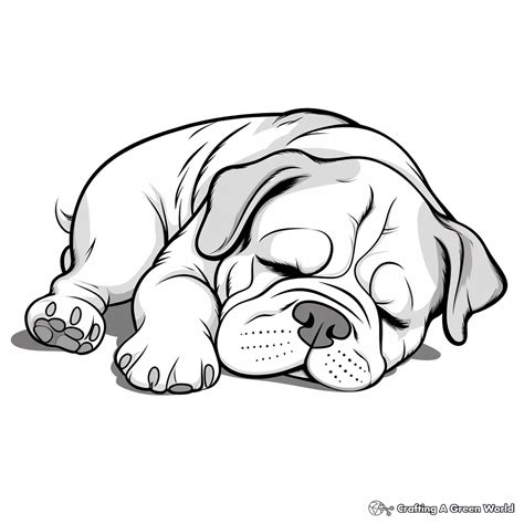 Printable And Coloring Pages Bulldog