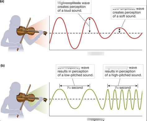 sound waves Diagram | Quizlet