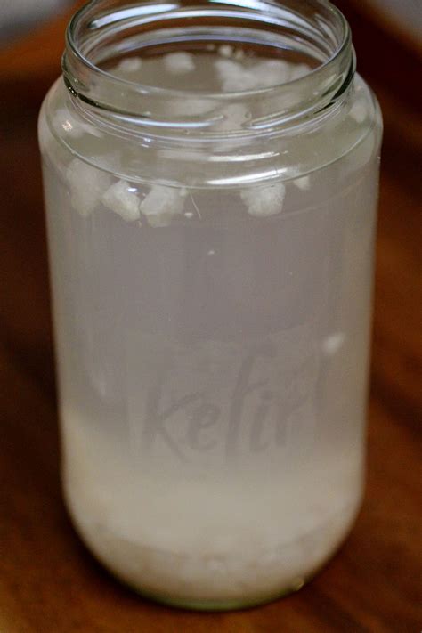 Water Kefir - Cultured Food Life
