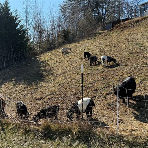 GNOME HOLLOW FARMS - All You Need to Know BEFORE You Go 2026 (with ...