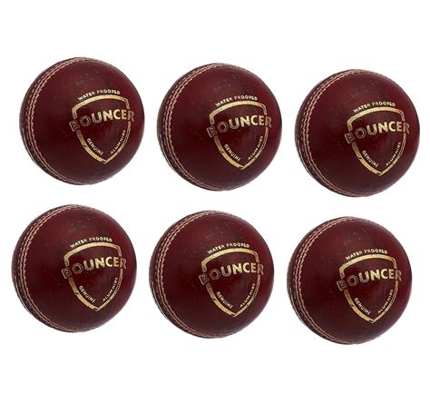SG Bouncer Leather Ball, Pack of 6 : Amazon.in: Sports, Fitness & Outdoors