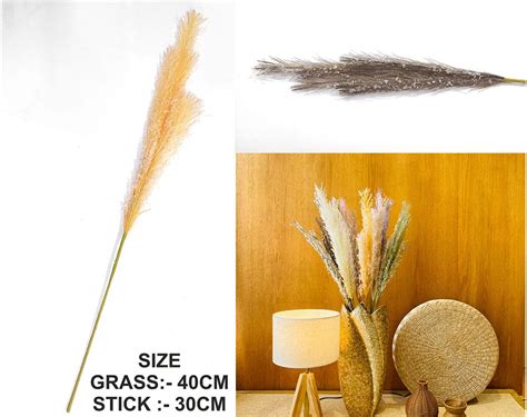 Brown Father Pampas Grass