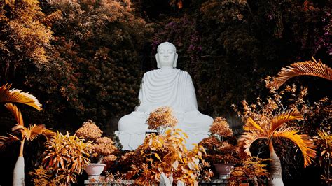 Download wallpaper 2560x1440 buddha, buddhism, harmony, sculpture ...