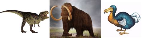 Image result for Cloning Extinct Animals