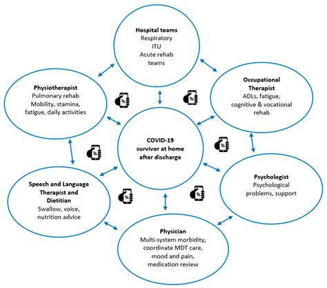 A Proposal for Multidisciplinary Tele-Rehabilitation in the Assessment ...