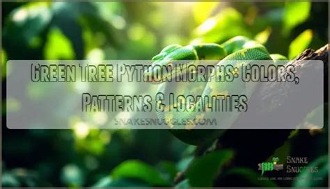 Image result for Green Tree Python Morphs