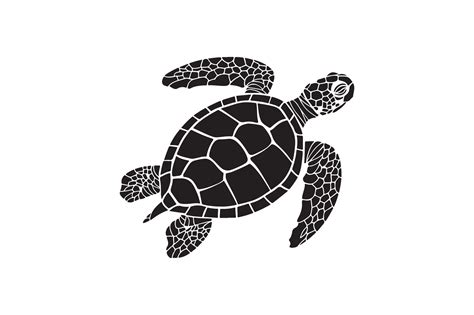 Image result for Turtle Graphics Art