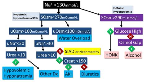 Hyponatremia Algorithm 的图像结果