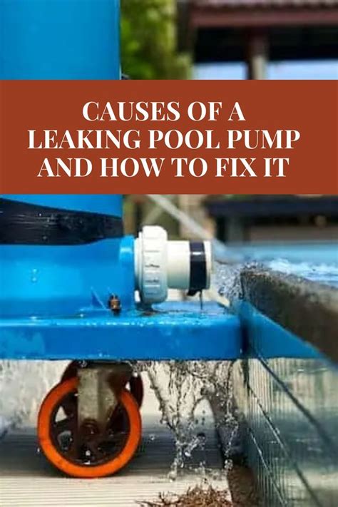 Image result for Pool Pump Leaking