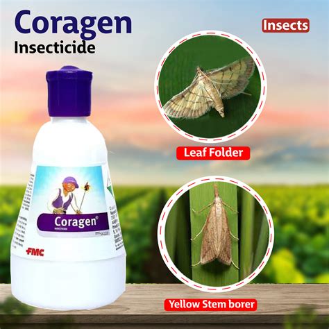 FMC Coragen Insecticide – Agriplex