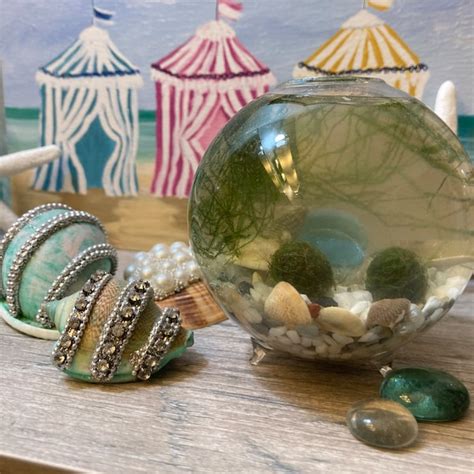 Image result for DIY Java Moss Decorations