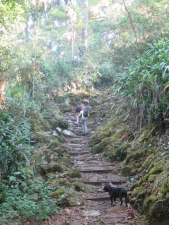 Climbing Chirripo (San Gerardo De Rivas) - All You Need to Know BEFORE ...