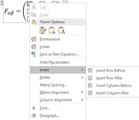 By Using Microsoft Word Write Matrix 的图像结果