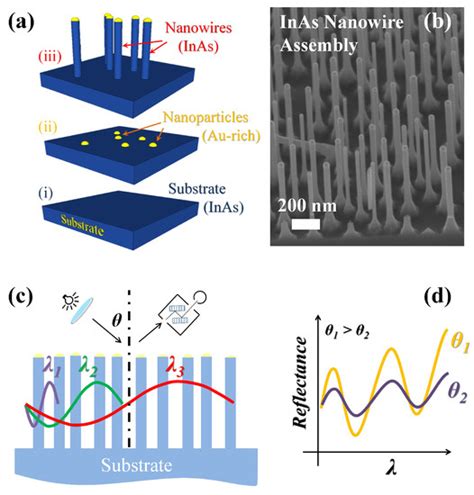 Self-Assembled InAs Nanowires as Optical Reflectors