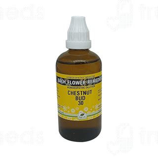 New Life Bach Flower Remedies Chestnut Bud 30 Dilution 100ml - Uses ...