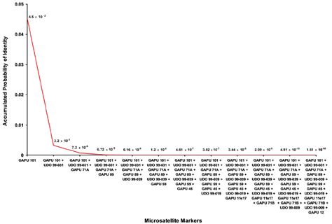 Probability Nancy Pi 的图像结果