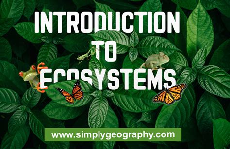 Geography 的图像结果