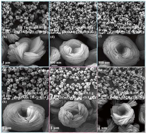 Trypsin/Zn3(PO4)2 Hybrid Nanoflowers: Controlled Synthesis and ...