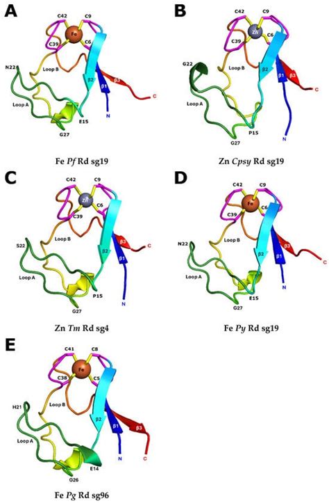 Biomolecules | Special Issue : Innovative Biomolecular Structure ...