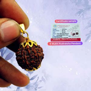 Radhika Collection Rudraksha 6 Mukhi 100% Original Lab Certified Nepali ...