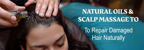 Repair Damaged Hair Naturally: Best Tips & Home Remedies