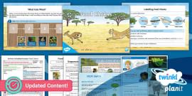 Lesson Plan on the Human Body for Grade 3 - Digestive System