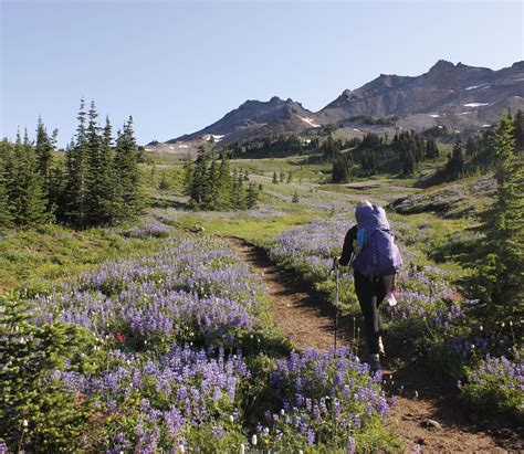 2024 | M.J. Murdock Charitable Trust