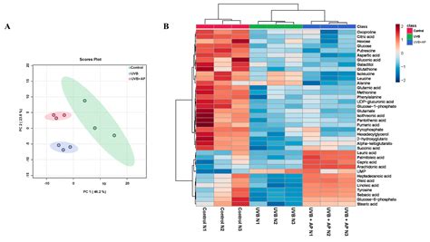 Andrographolide Mitigates Inflammation and Reverses UVB-Induced ...