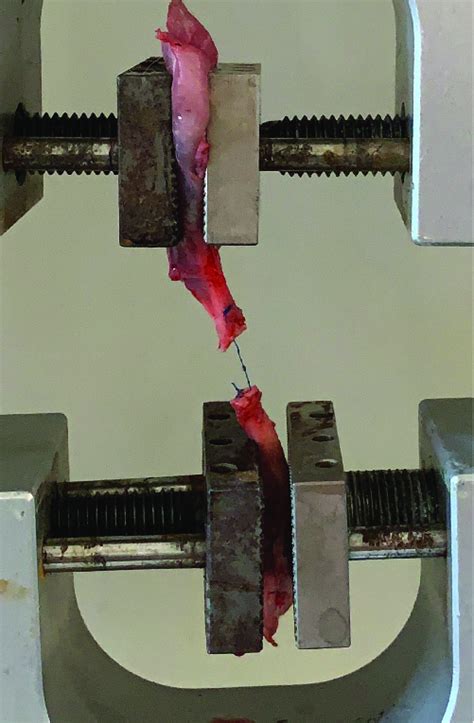 Axial Loading Problems 的图像结果