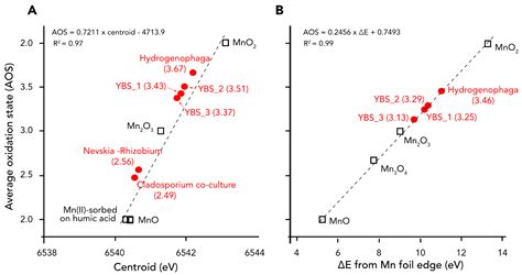 Microbe-Mediated Mn Oxidation—A Proposed Model of Mineral Formation