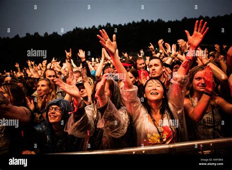 Concert Fans 的图像结果