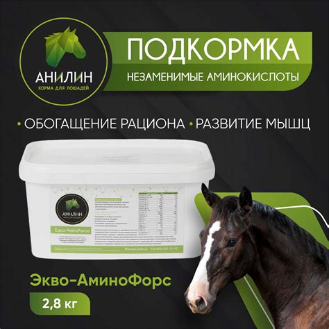 Экво-Аминофорс, 2.8кг - Корма Анилин