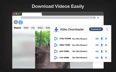 Image result for Video Downloader Extension